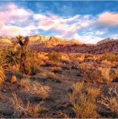 partner-destination-las-vegas-120x120.png